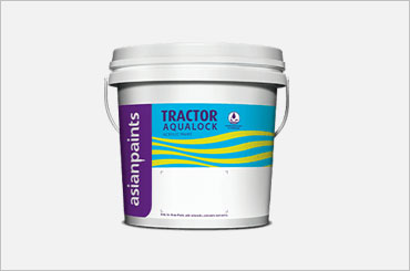 Asian Paints
