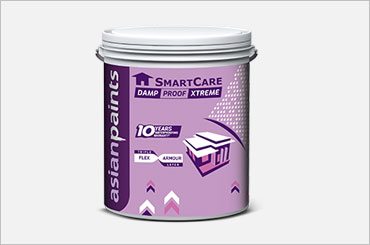 Asian Paints