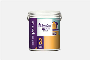 Asian Paints