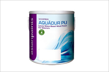 Asian Paints